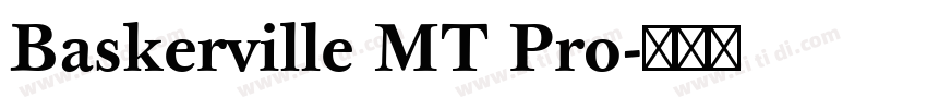 Baskerville MT Pro字体转换